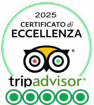 Tripadvisor viaggio in india