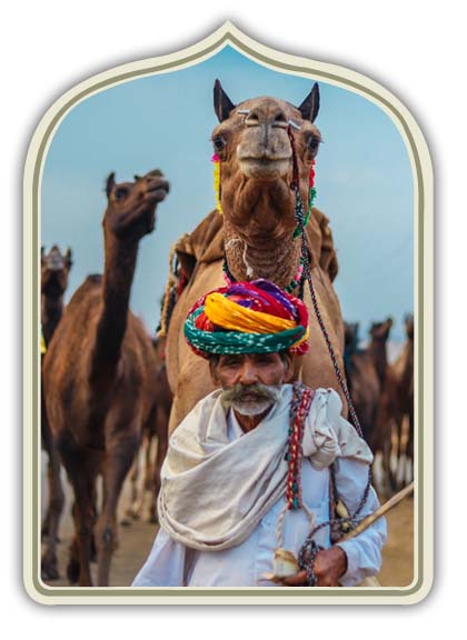Fiera dei Cammelli di Pushkar