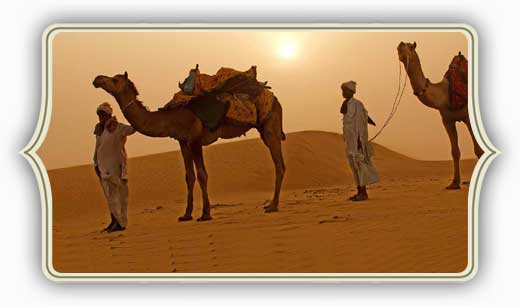 Natale e Capodanno Jaisalmer, Rajasthan