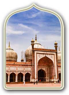 Jama Masjid monumenti delhi viaggio