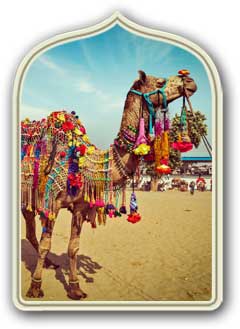 Pushkar Camel Fair monumenti Pushkar Rajasthan