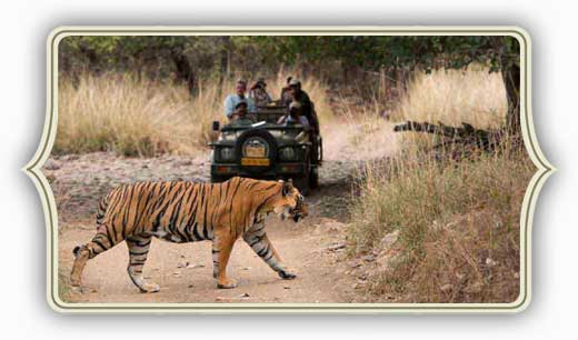 Tour Del Rajasthan con Ranthambore