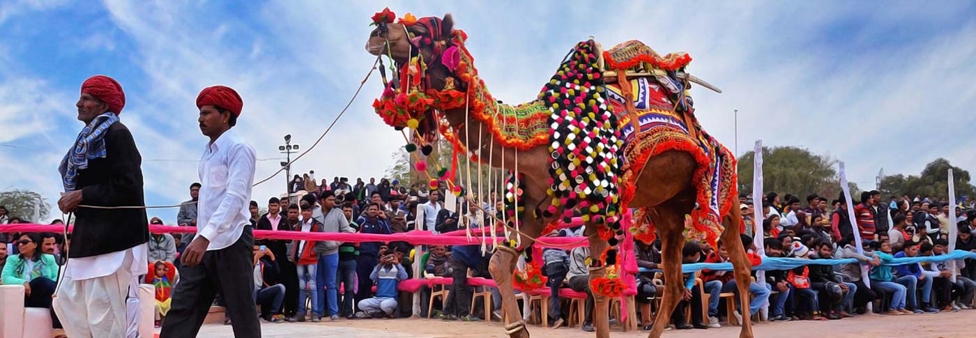 Festival dei cammelli di Bikaner