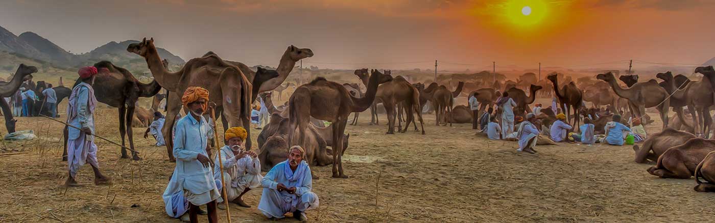 Viaggio in India