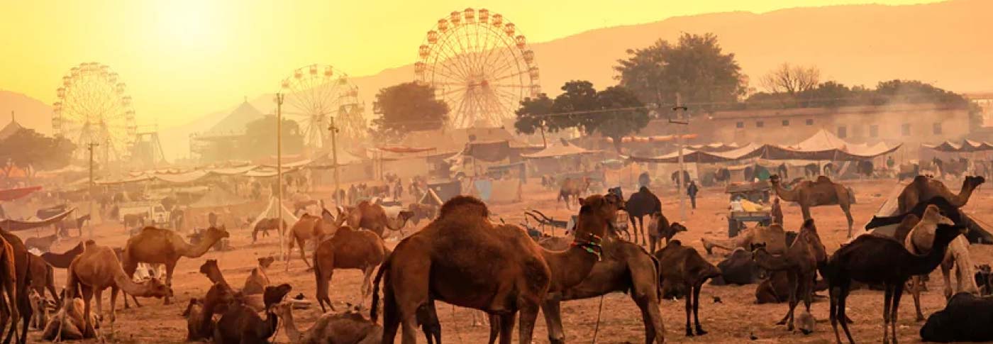 Fiera dei cammelli di Pushkar