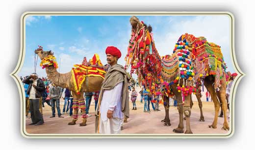 Viaggio fiera di Pushkar in Rajasthan